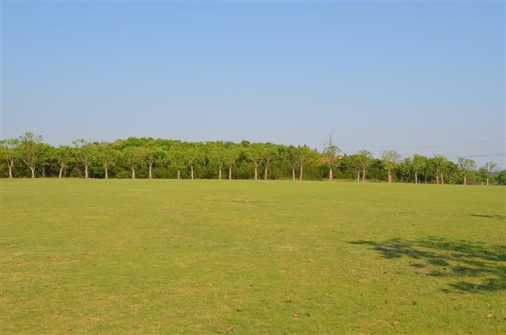 2013年8月10日,上海奉贤(东海观音寺,碧海金沙,海湾国家森林公园)