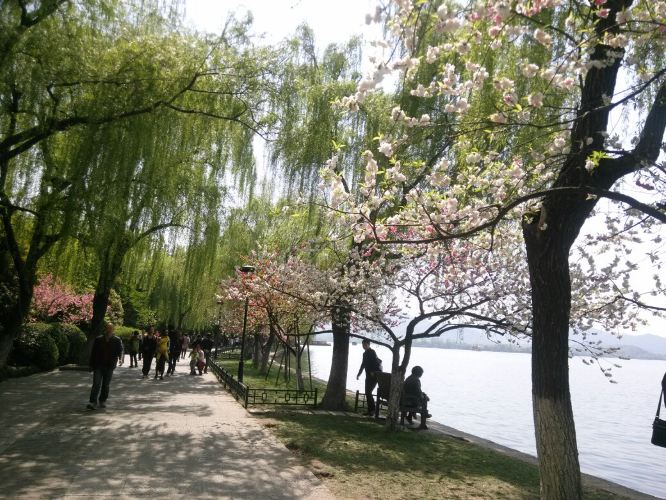 杭州。西湖。一天。 - 杭州游记攻略