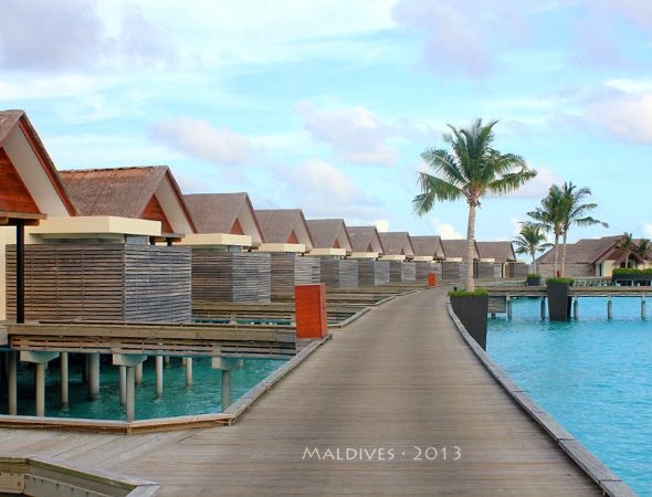 【Niyama岛】碧蓝色的梦境之地