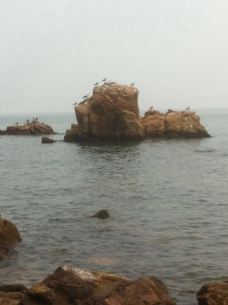 【携程攻略】荣成鸡鸣岛图片,鸡鸣岛旅游景点
