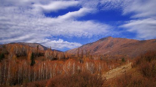 阿勒泰旅游照片,阿勒泰景点图片,图库,相册–携