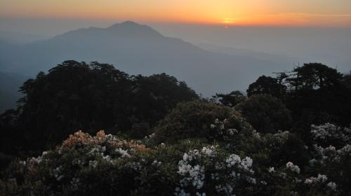 杜鹃山(笔架山)