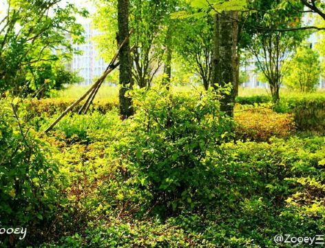  致青春原著 林静向郑薇求婚的地方--北海(悄悄告