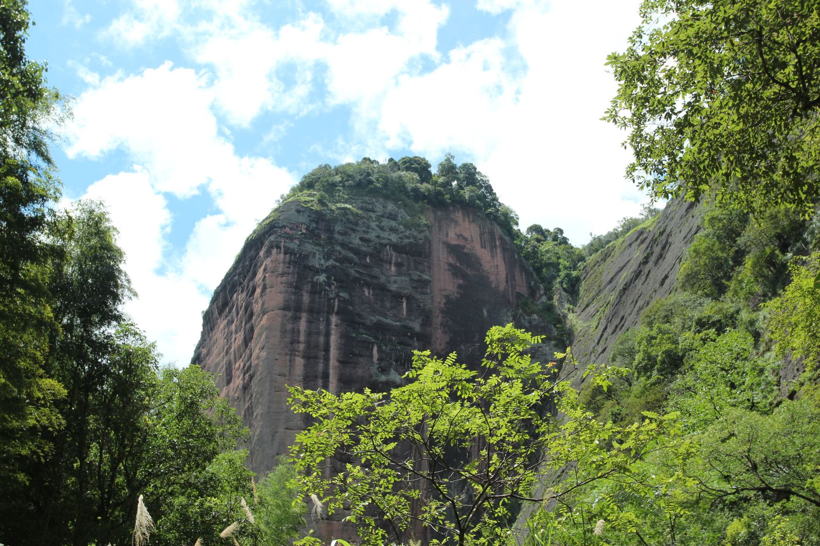 福建武夷山3日跟团游·武夷山高铁专列 泰宁大