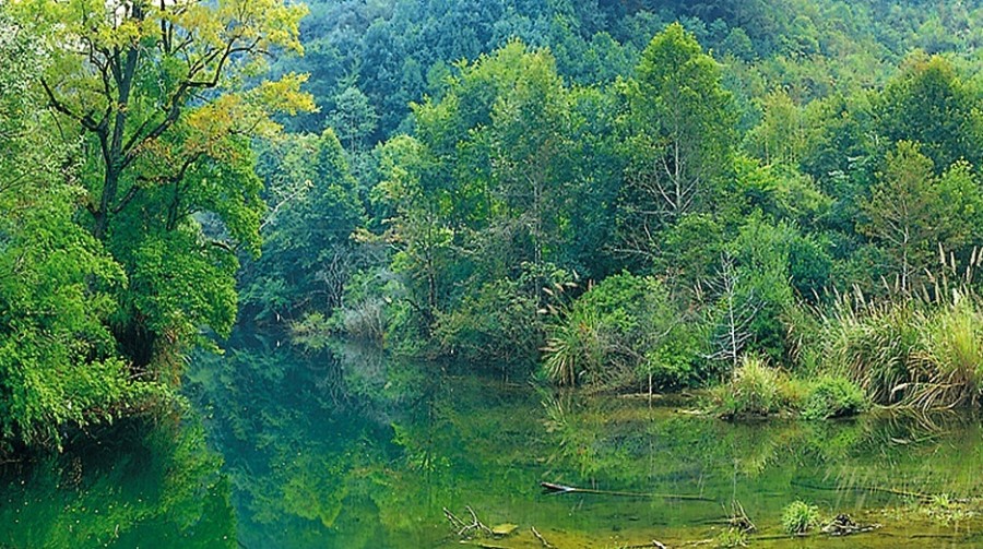 车八岭自然保护区