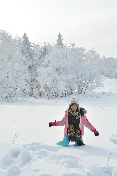 哈尔滨原生态东升林场1日游,美食、雪景玩个遍