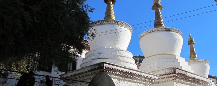 2014西藏旅游自驾,自助游/攻略/保卫/自由行攻略第萝卜出游802攻略关图片