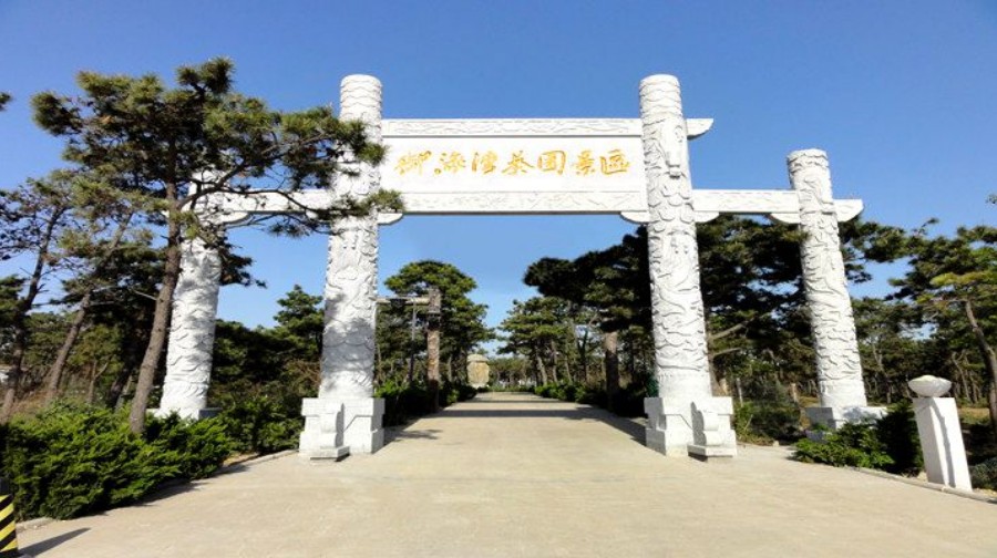 日照御海湾茶博园风景区1.jpg