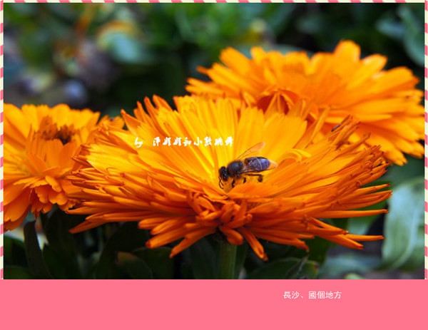 I旅游长沙吃喝玩乐自由行 - 长沙游记攻略【携程