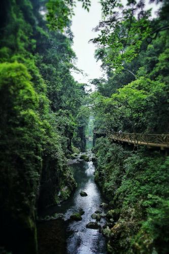 福州永泰云顶景区游玩 - 永泰游记攻略