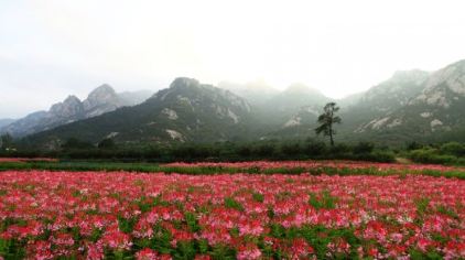 烟台昆嵛山泰礴顶特价门票旅游景点多少钱_昆嵛山泰礴顶特价门票旅游