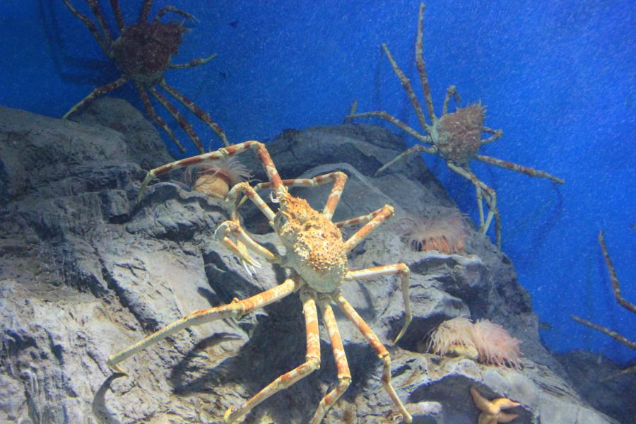 【i旅行】好玩的济州岛 - 携程社区