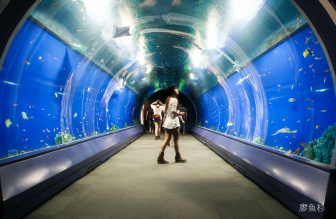 【日本】大阪水族馆里的奇幻世界 - 大阪游记攻略