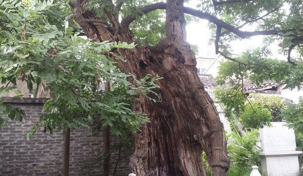 无不的成语_带有无不的成语_含有无不的成语