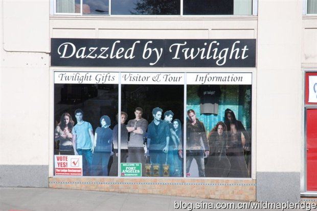 华盛顿州边陲小镇福克斯,《暮光之城》与吸血