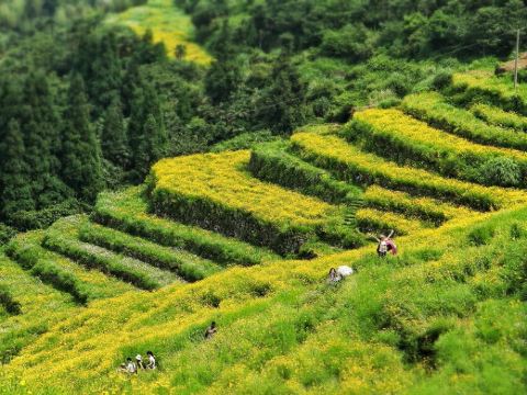 永泰风景图片,永泰旅游景点照片\/图片\/图库\/相册