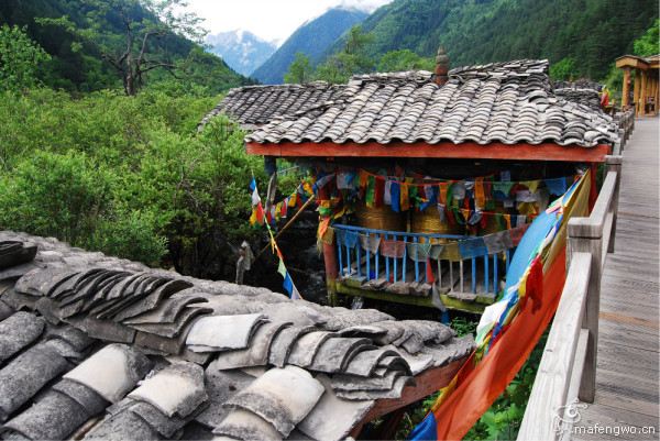暑假自助游九寨沟黄龙全面游记-九寨沟攻略攻略拜佛少林寺图片