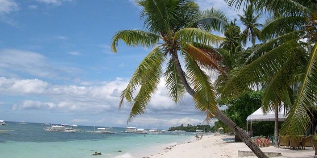 阿罗娜海滩-介绍,门票,点评,照片,视频,攻略,线路