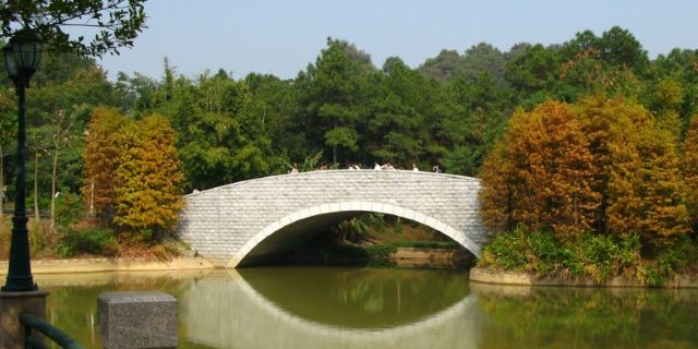 深圳莲花山公园观景