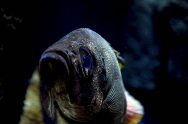 岁月静好,乐享天伦--5天4夜亲子游,玩转新加坡