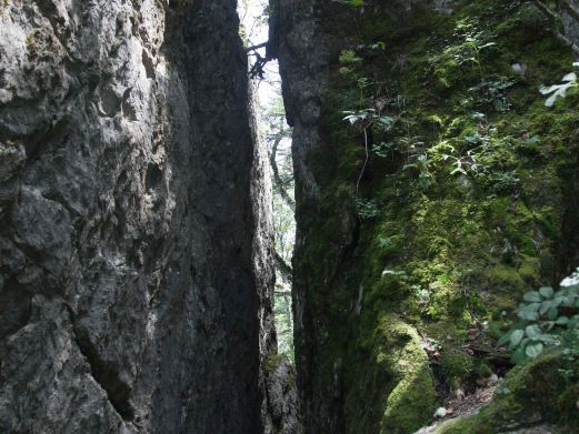 <em>神农架旅游照片</em>,神农架景点图片,图库,相册–携