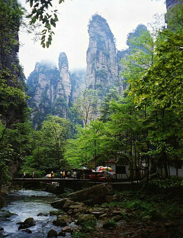 武陵源区金鞭溪大峡谷攻略,武陵源区金鞭溪大峡谷门票/游玩攻略/地址