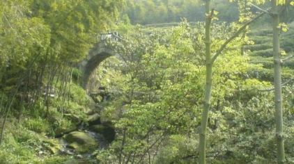 马尾水生态旅游风景区