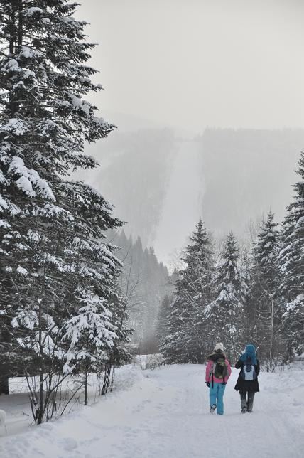 哈尔滨原生态东升林场1日游,美食、雪景玩个遍
