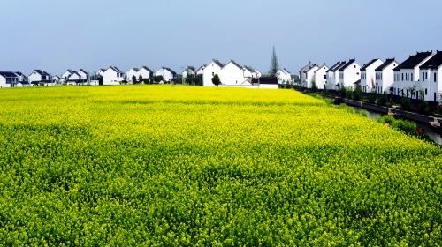 汉中旅游照片,汉中景点图片,图库,相册–携程社区