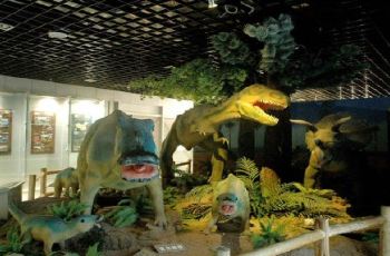 中国地质大学博物馆,武汉中国地质大学博物馆