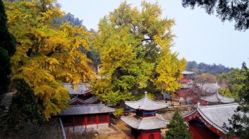 沂水风景图片,沂水旅游景点照片/图片/图库/相册