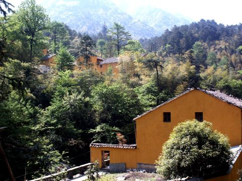 【安徽 九华山】一步一莲花——记春游九华,四十二座寺庙全记录