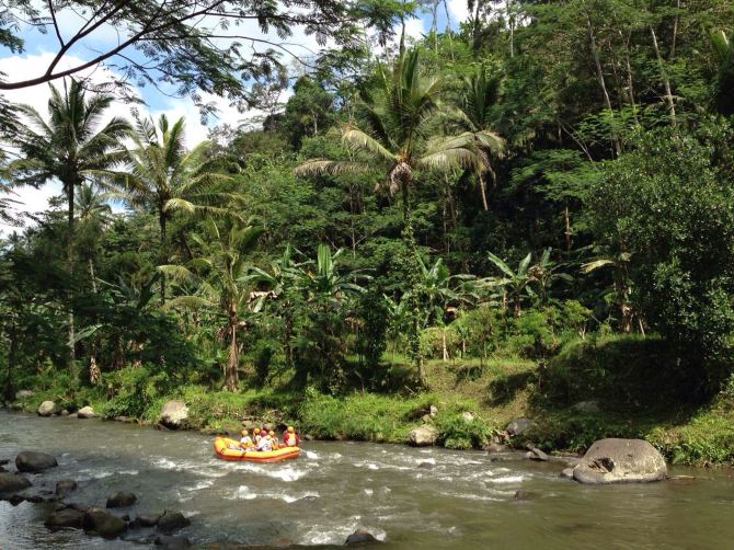 实用的巴厘岛跟团游攻略(如何防止被藏掉出境