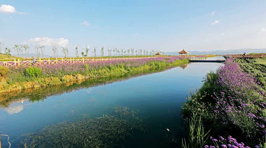 浪漫草海风景区