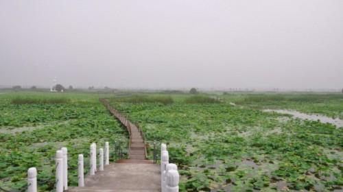 洪湖蓝田生态旅游风景区