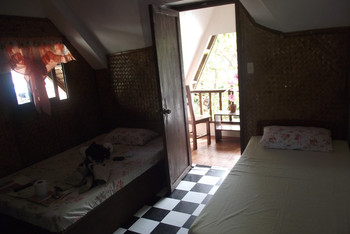 务、薄荷、长滩等9岛6城镇实用指南 附签证机