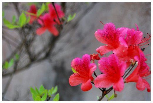 <em>郑州旅游照片</em>,郑州景点图片,图库,相册–携程社