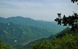 信阳鸡公山天气预报,历史气温,旅游指数,鸡公山