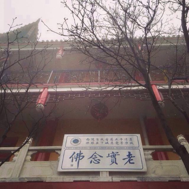 东天目山挂单---稻草人旅游