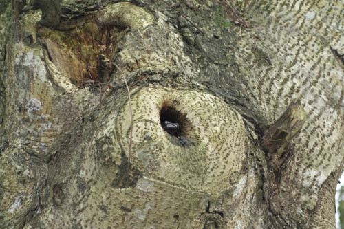 北京到越南岘港(DA NANG)5日游记(the 3rd Da