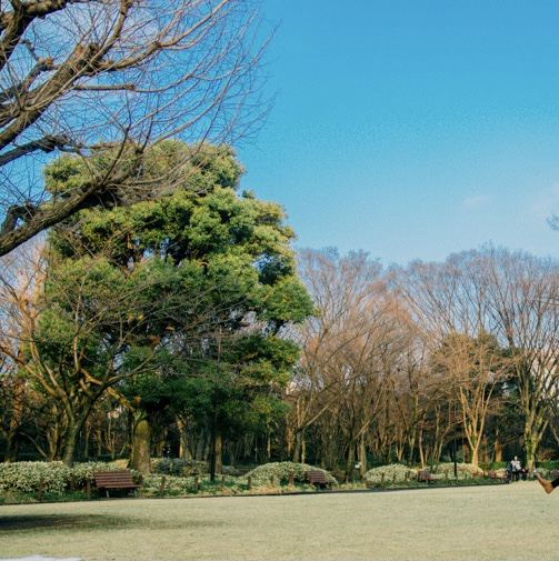 北之丸公园