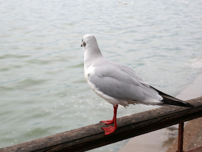 昆明旅游网