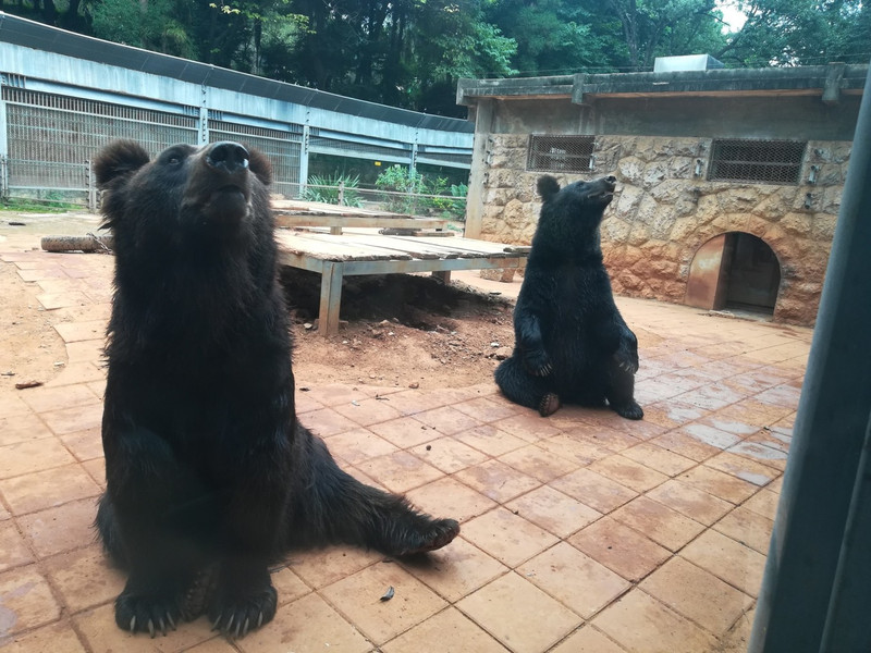 昆明旅游网