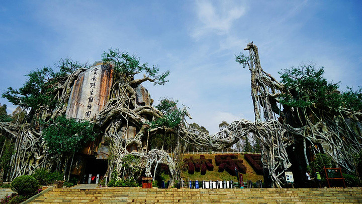 昆明旅游网