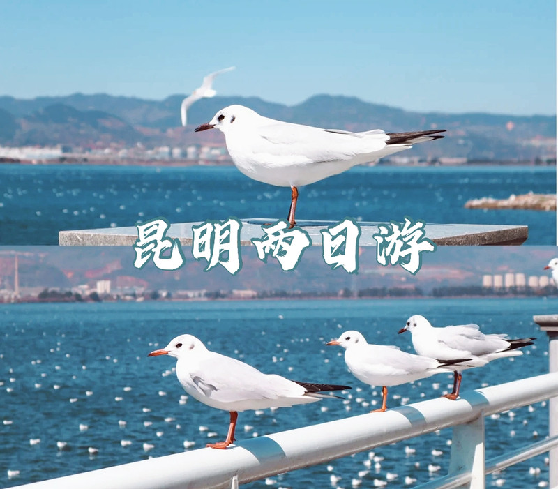昆明旅游网