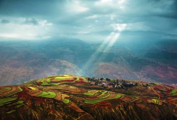 昆明东川红土地一日游包车 三环接送·拜访网红老名星【品牌服务·随意组合·行程专属定制·独立用车含接送·体验式休闲游】