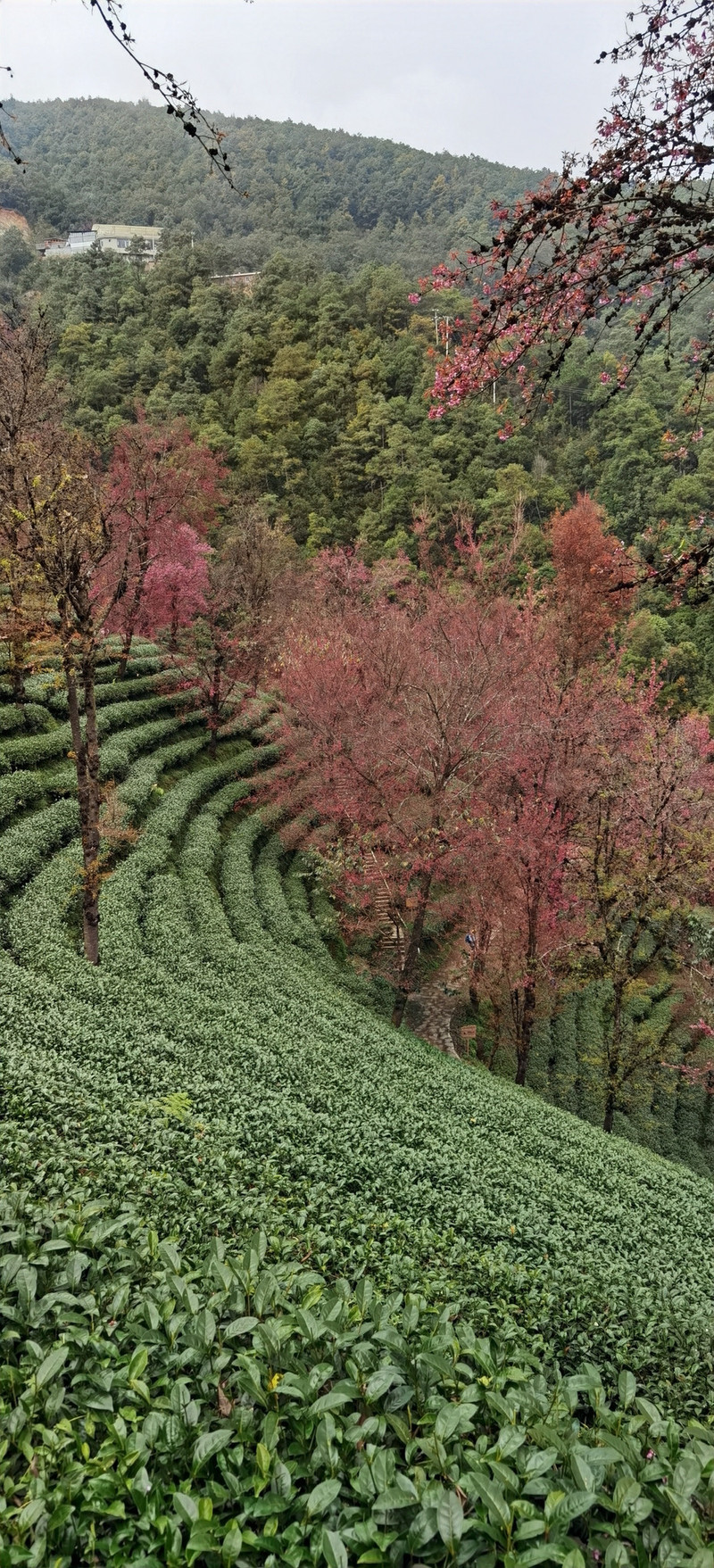 昆明旅游网