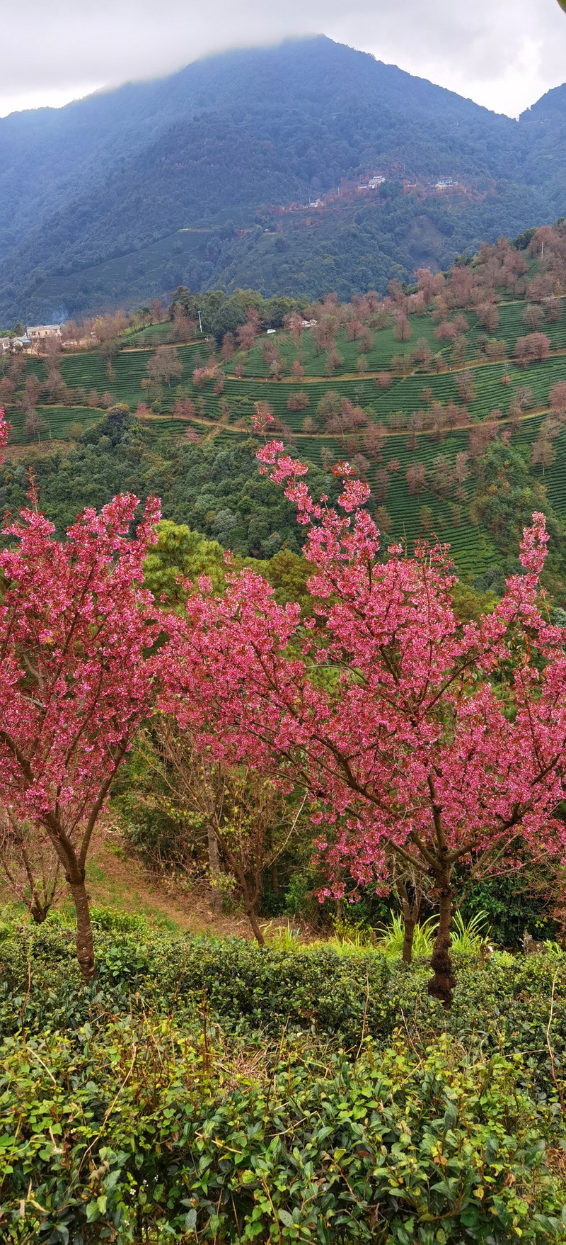 昆明旅游网