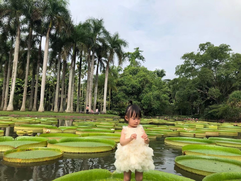 昆明旅游网