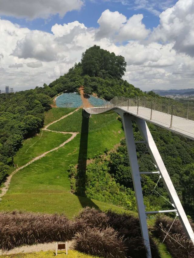 深圳大顶岭山林公园攻略,深圳大顶岭山林公园门票/游玩攻略/地址/图片